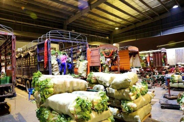 星富优配 台风来袭深圳生活必需品量足价稳完全能够满足需求 市民无需盲目囤货